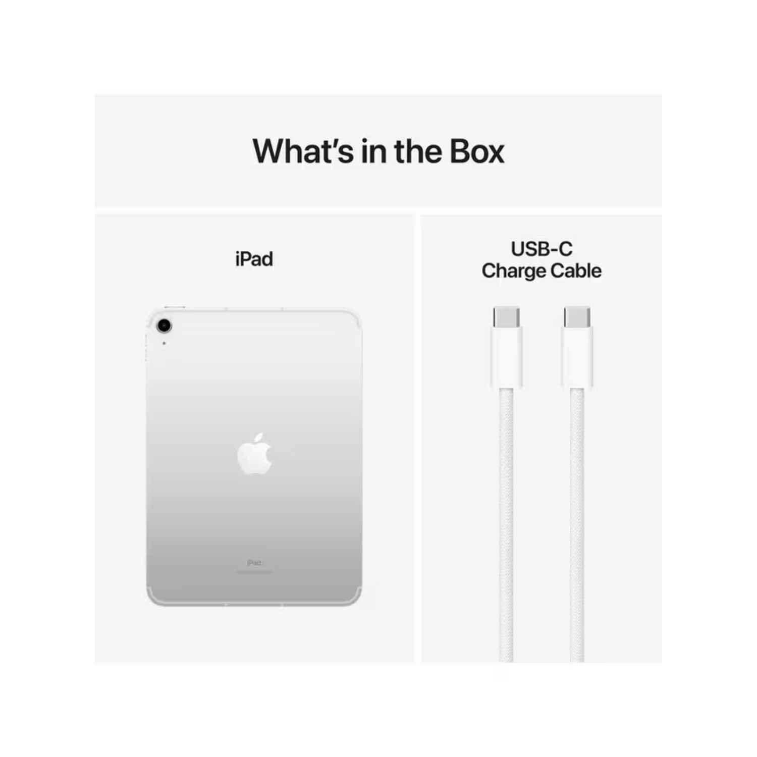 Nicola won iPad 10.9 Inch - Silver