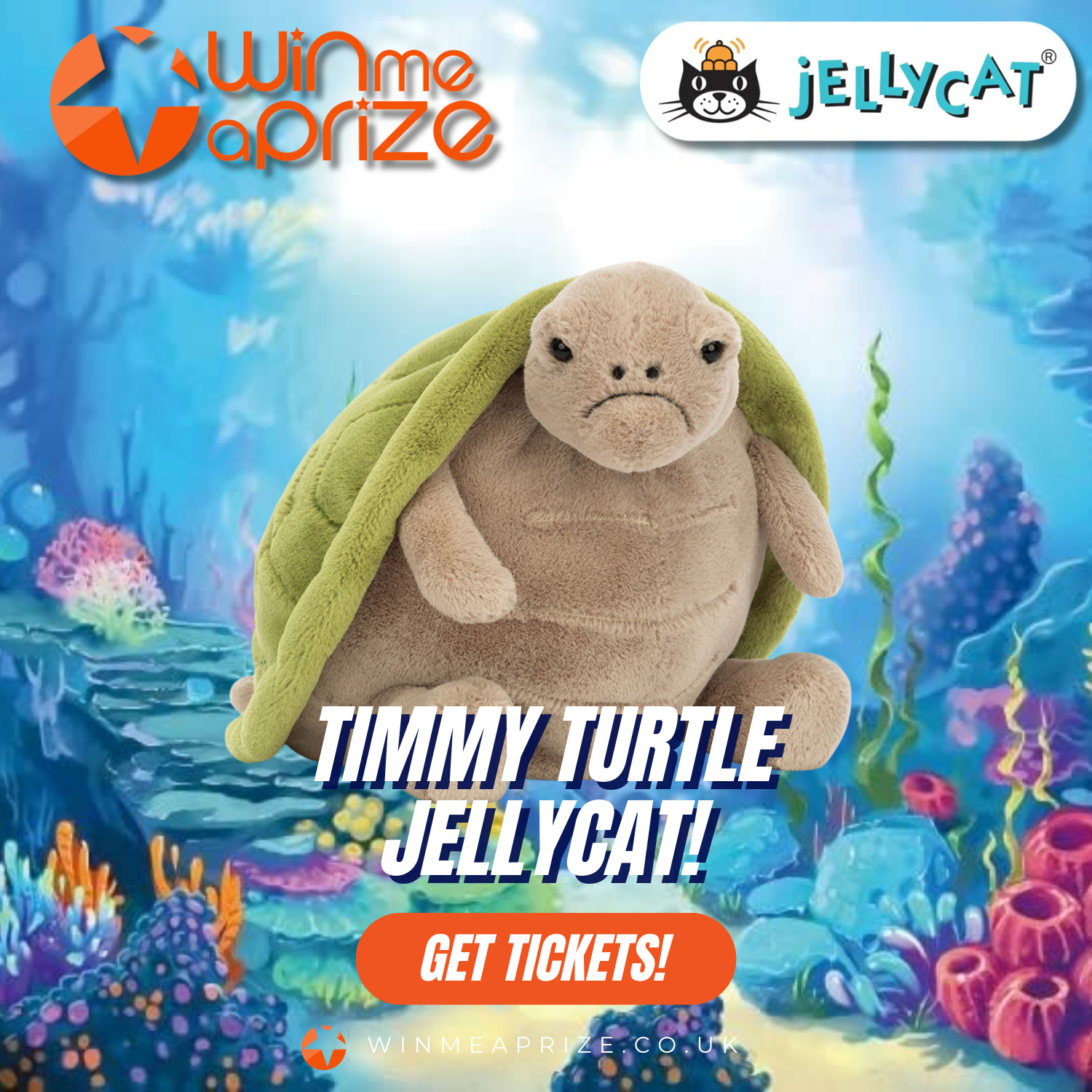 Mark won Timmy Turtle Jelly Cat!